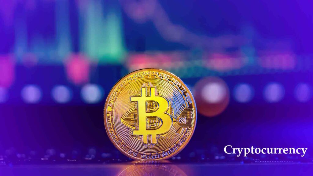 6 Cara Rebalancing Portofolio Crypto Tanpa Ribet