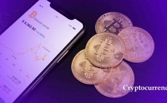 Cara Melihat Altcoins Sudah Overvalue Tanpa Harus Jadi Analis Profesional