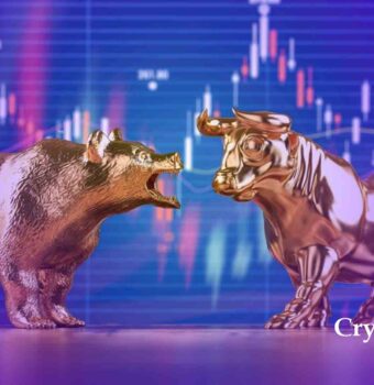 Apa yang Harus Dilakukan Ketika Market Sedang Euforia? Tips untuk Trader & Investor