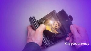 6 Langkah Mudah Wallet Tracking Crypto untuk Pemula