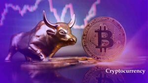 Market Crypto Naik, Hindari 5 Kesalahan Fatal Investor Pemula Ini