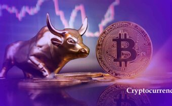 Market Crypto Naik, Hindari 5 Kesalahan Fatal Investor Pemula Ini