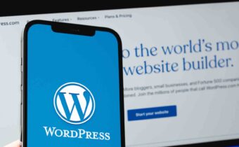 Serangan XSS Incar 7 Juta Situs Akibat Bug di Plugin WordPress Populer