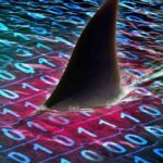 Kerentanan Wireshark Izinkan Hacker Crash Sistem dengan Satu Paket Rusak