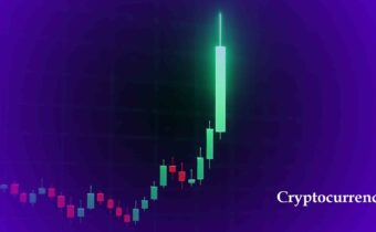 Ketika Market Crypto Mulai Hijau, Ini 5 Hal yang Perlu Kamu Lakukan